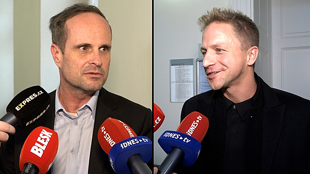 Kluse je mi lidsky líto, ale reagovat jsem musel, řekl u soudu žalovaný expert