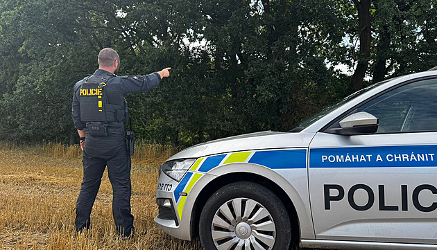 Policie pátrala po býkovi, který utekl z ohrady. Zvíře se druhý den vrátilo ke stádu