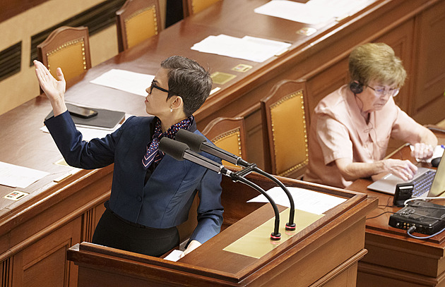 Nerespektujete půl milionu voličů, vadí Richterové. Piráti nevedou žádný výbor