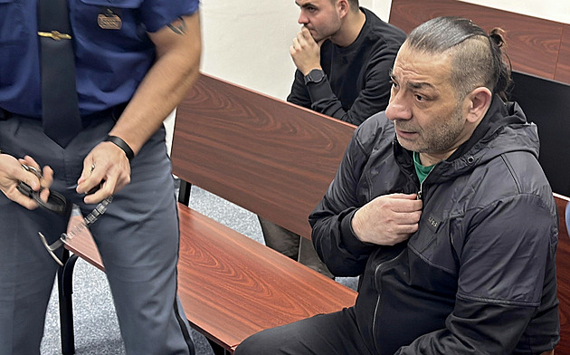 Přeseknuté žebro, poraněná játra. Za pokus o vraždu mačetou soud vyměřil 10 let