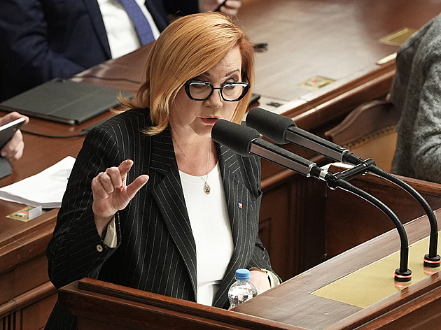 Rebelie brněnského ANO. Schillerovou neposlechlo, zůstává v koalici s ODS