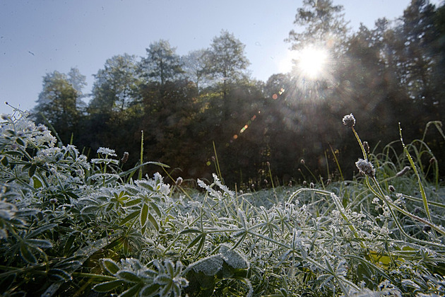Na Kvildě naměřili minus 11 stupňů, rána budou chladná až do neděle. Pak se oteplí