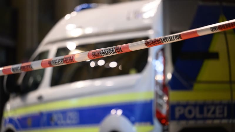 Tygr v Německu utekl chovatelce a napadl muže. Policie zvíře zastřelila