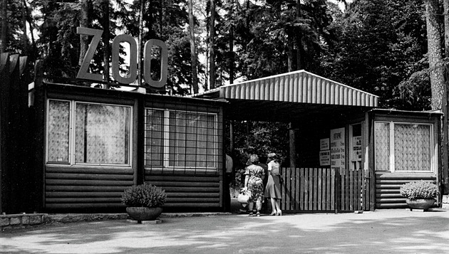 Uprchlou opici lapil starosta, levharta unesli oknem. Olomoucká zoo slaví 70 let