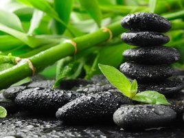 Zen 6 přinese 5 nových funkcí pro vyšší stabilitu výkonu, nejen herního