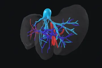 Virtuální realita mění medicínu. Lékaři si otestují každý řez, říká český expert
